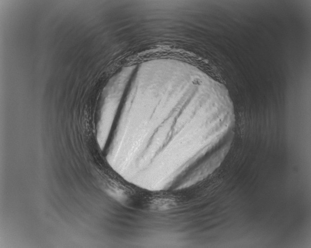 X0000076090653200610202107