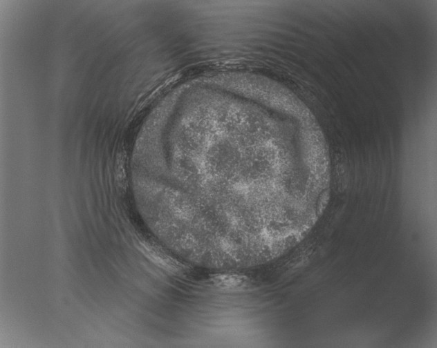 X0000076090654200610202107