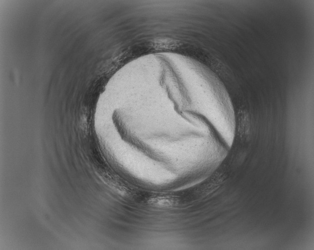 X0000076090655200610202107