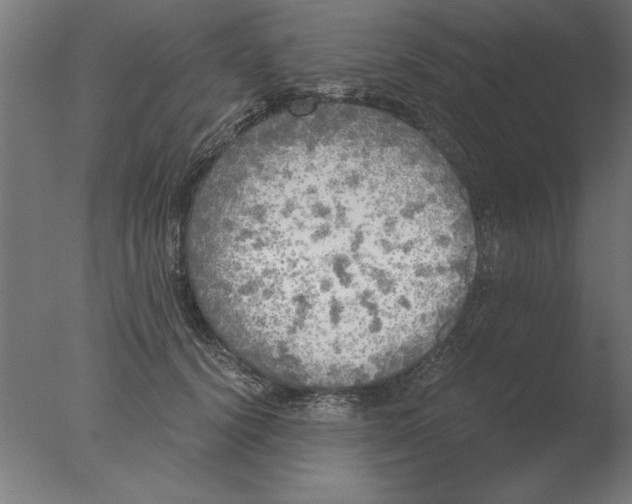 X0000076090656200610202107