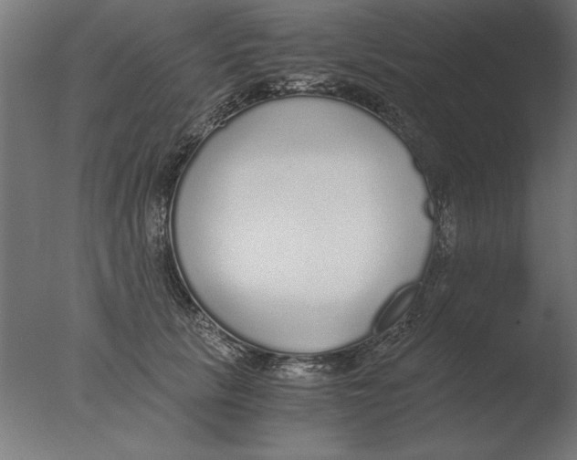 X0000076090657200610202107