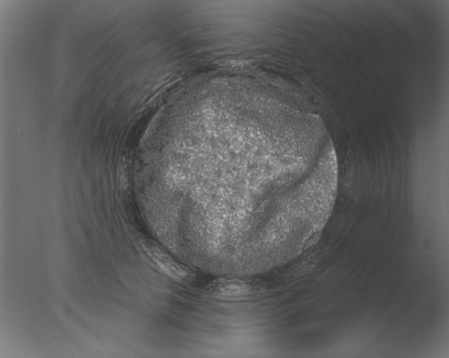 X0000076090658200610202107