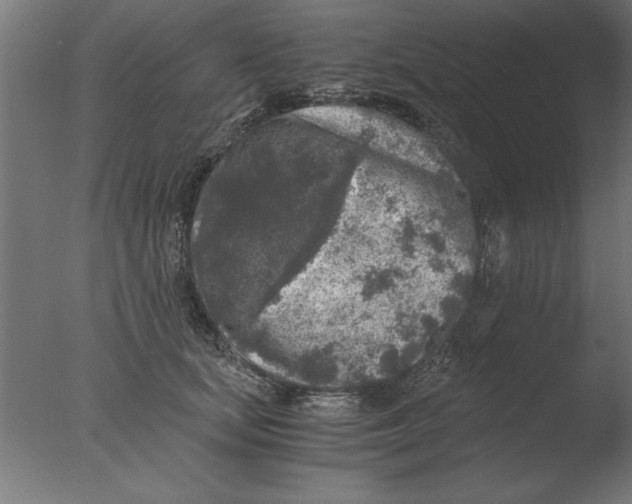 X0000076090659200610202107