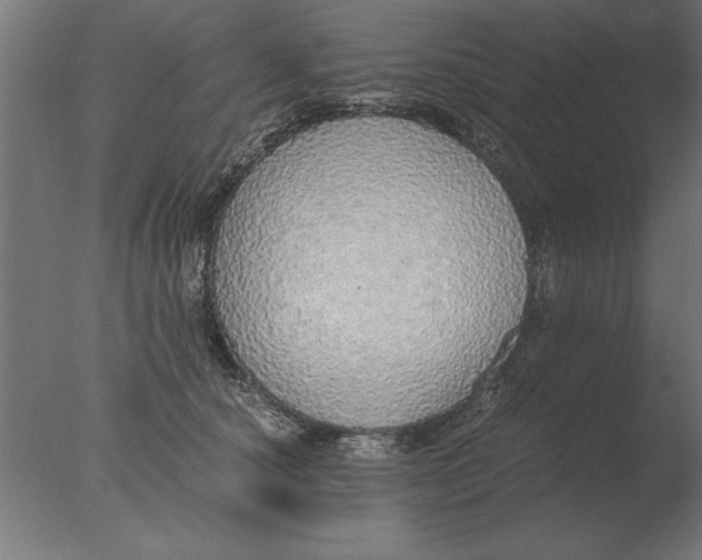 X0000076090660200610202107