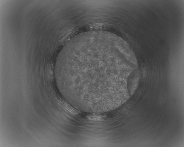 X0000076090661200610202107