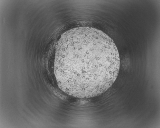 X0000076090662200610202107