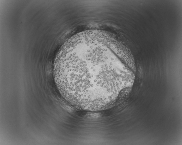 X0000076090665200610202107