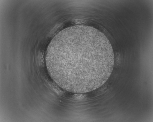 X0000076090667200610202108