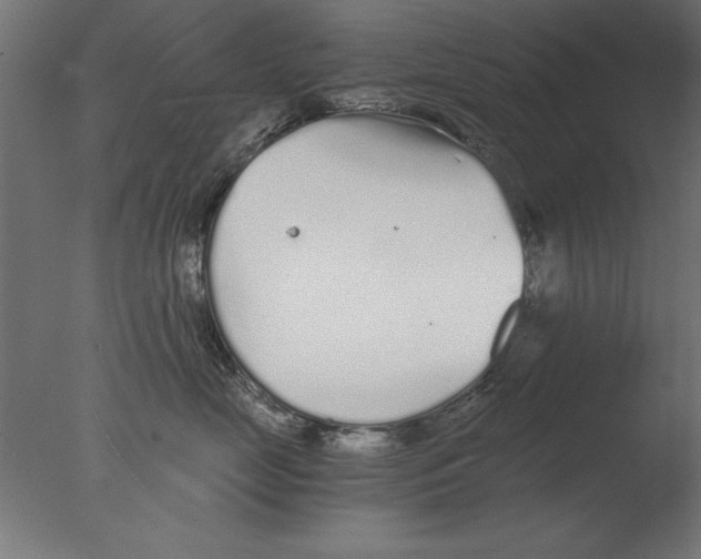 X0000076090669200610202108