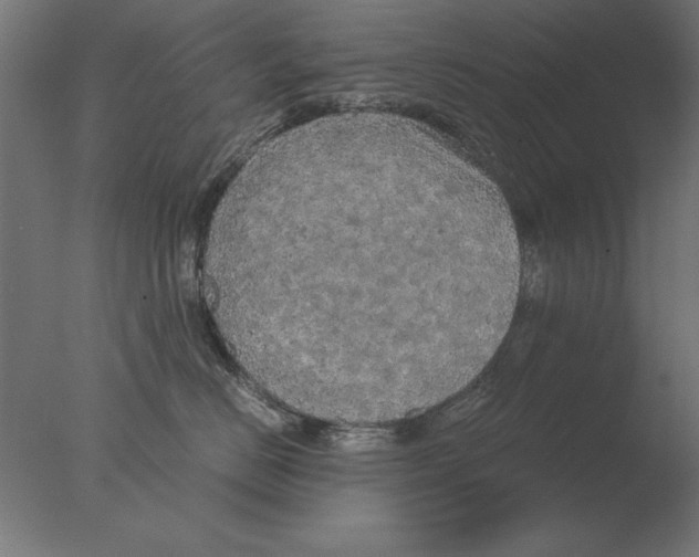 X0000076090670200610202108