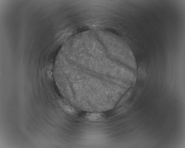 X0000076090671200610202108