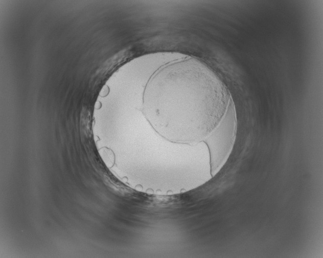 X0000076090672200610202108