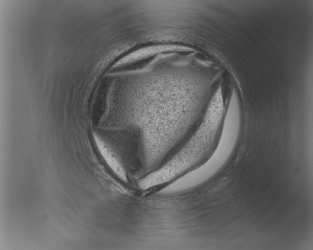 X0000076090673200610202107