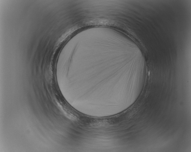 X0000076090674200610202107