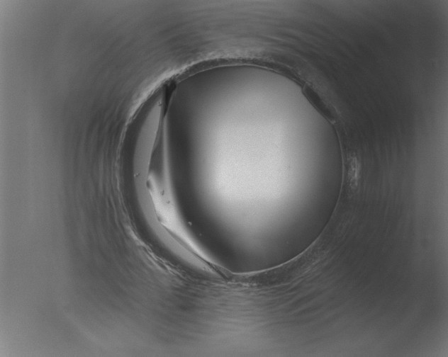 X0000076090676200610202107