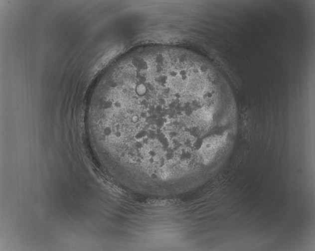 X0000076090679200610202107