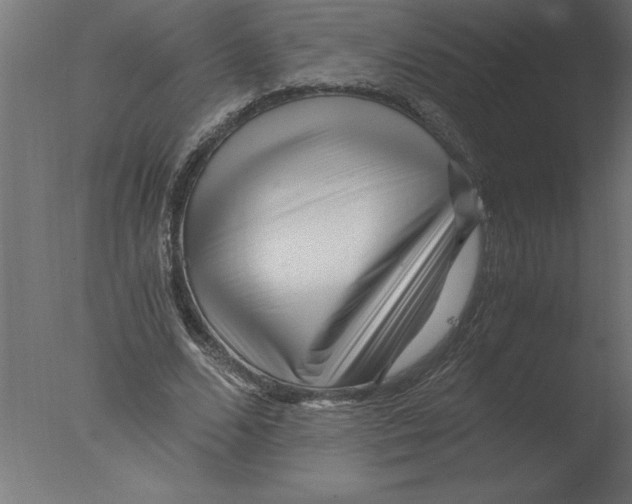 X0000076090680200610202107