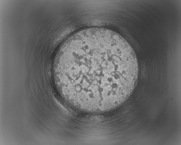 X0000076090683200610202107