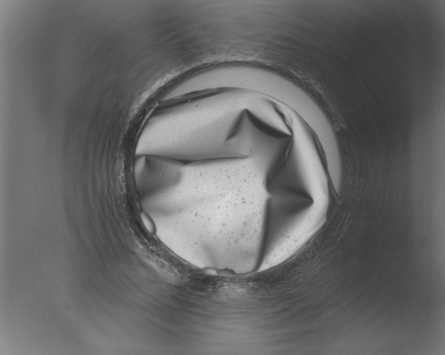 X0000076090684200610202107