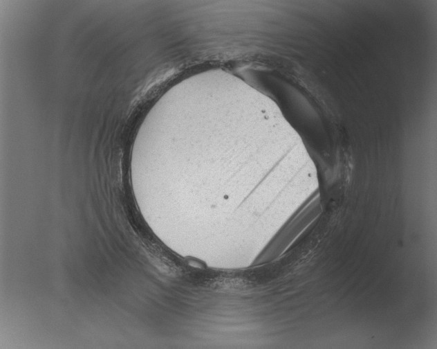 X0000076090685200610202107