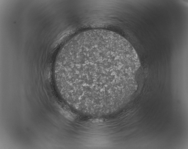 X0000076090687200610202107