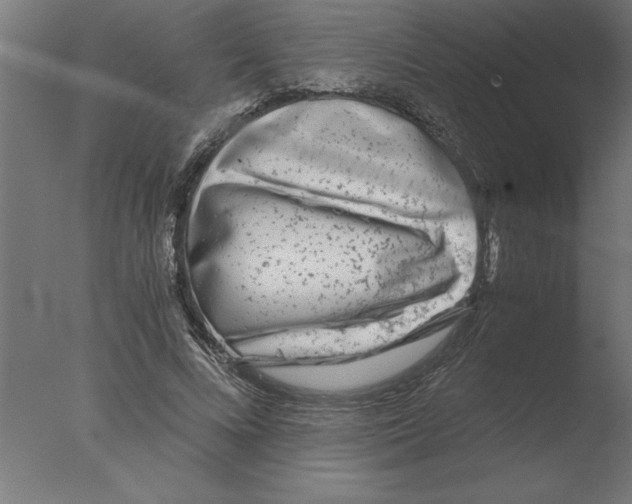 X0000076090688200610202107