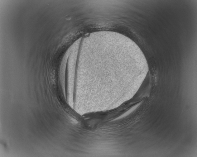 X0000076090689200610202107