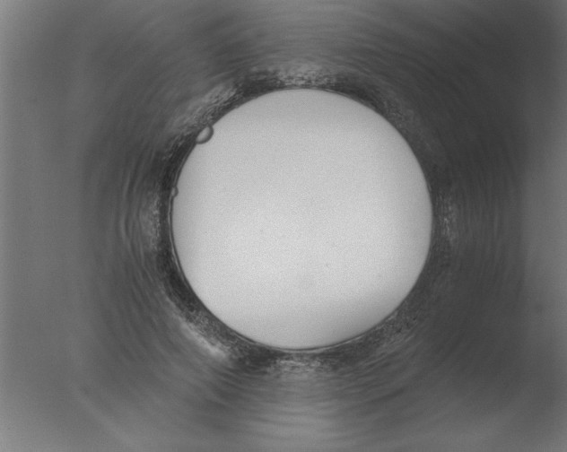 X0000076090690200610202107