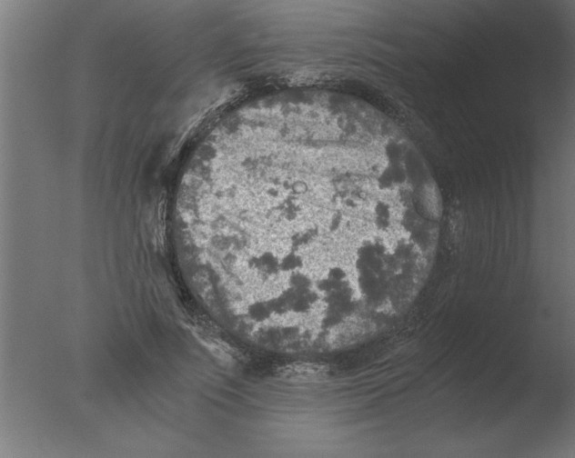 X0000076090691200610202106