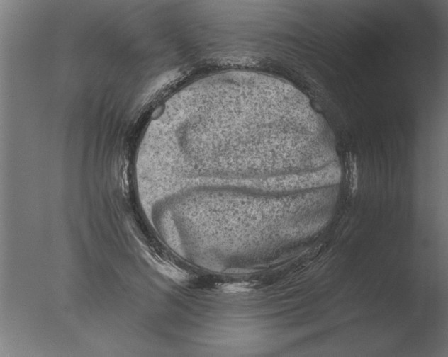 X0000076090692200610202106