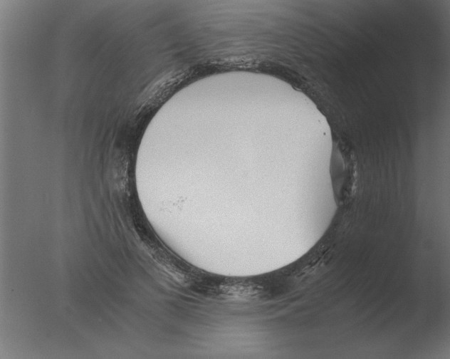 X0000076090693200610202106