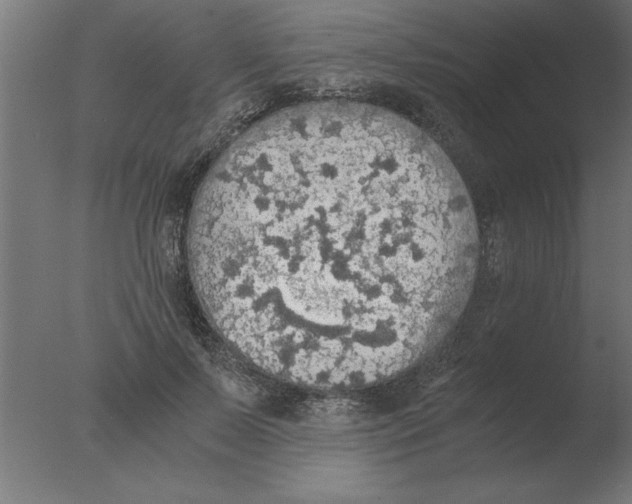 X0000076090695200610202106