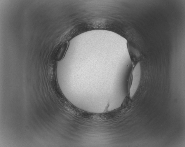 X0000076090697200610202106