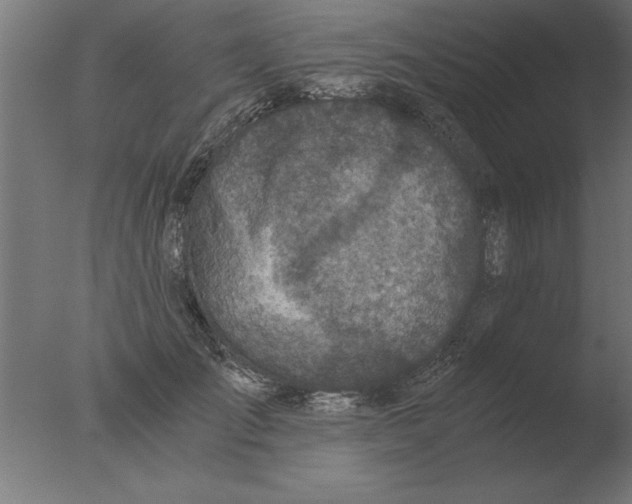 X0000076090701200610202106