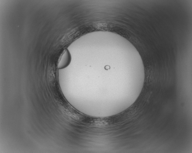 X0000076090702200610202106