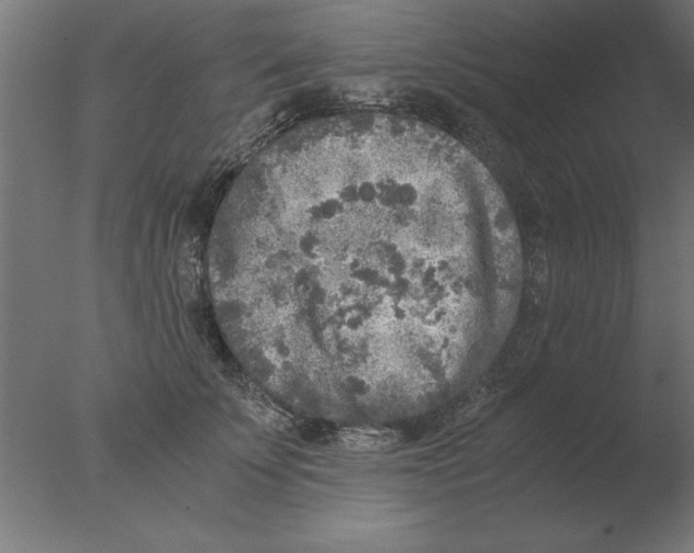 X0000076090707200610202106