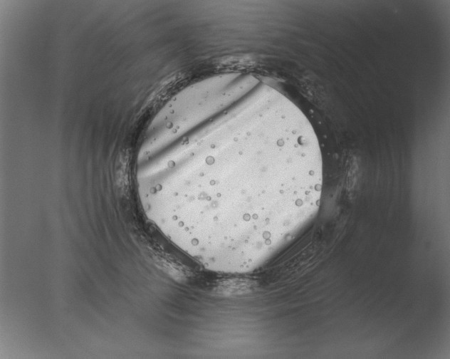 X0000076090708200610202106