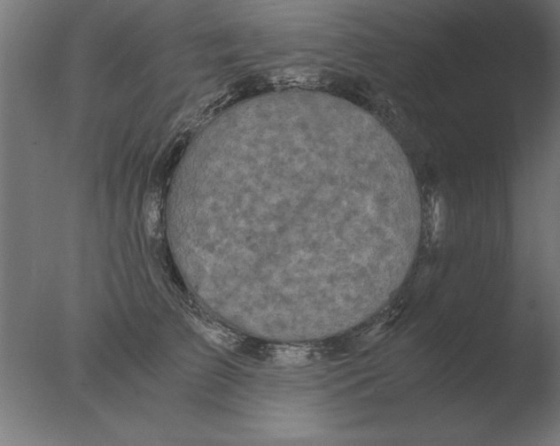 X0000076090709200610202106