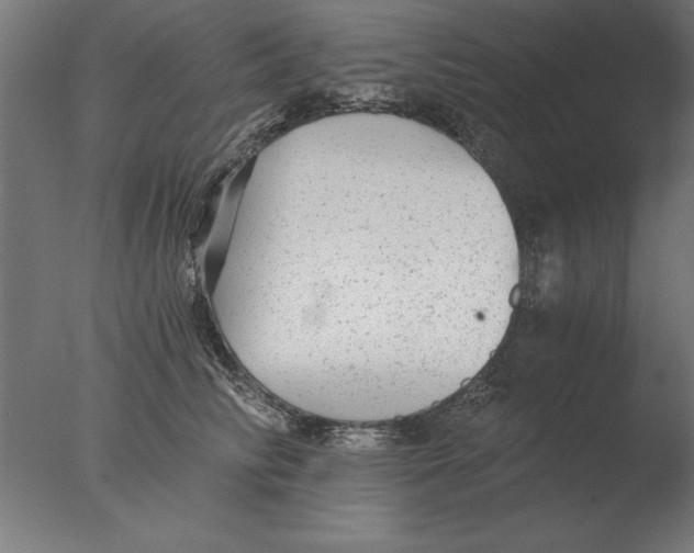 X0000076090710200610202106