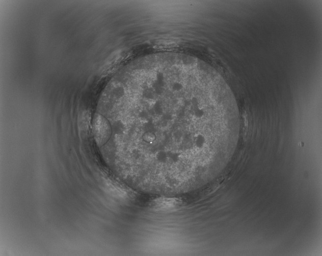 X0000076090711200610202106