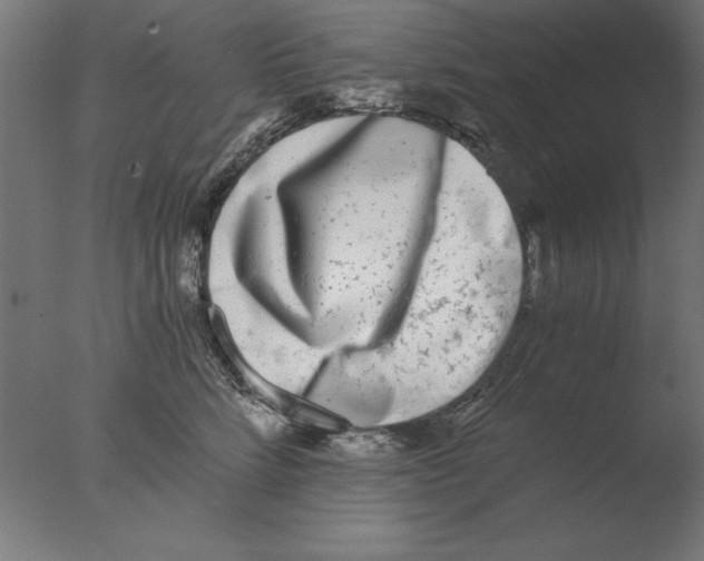 X0000076090712200610202106