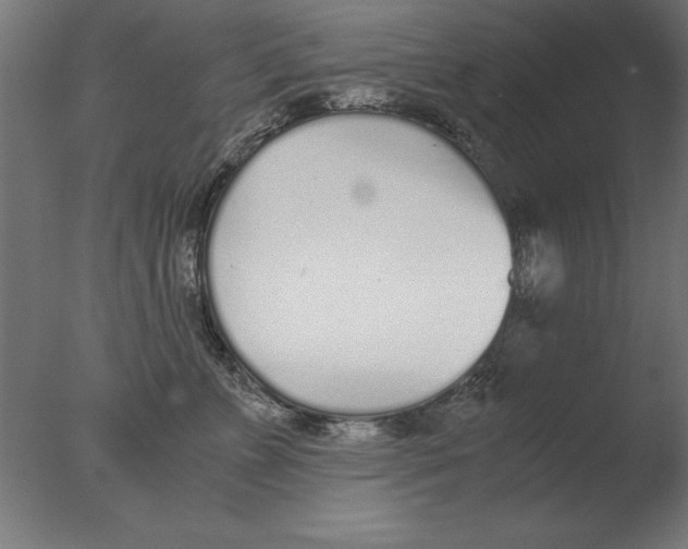 X0000076090715200610202106