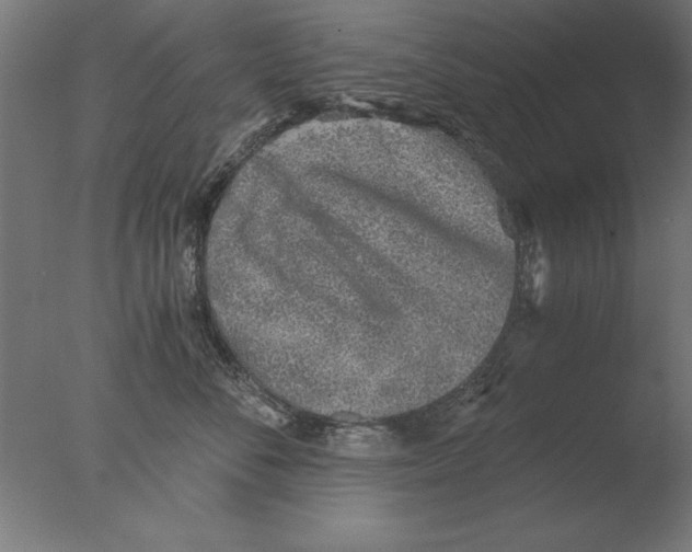 X0000076090716200610202106