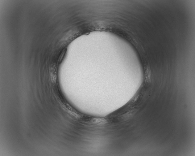 X0000076090719200610202106