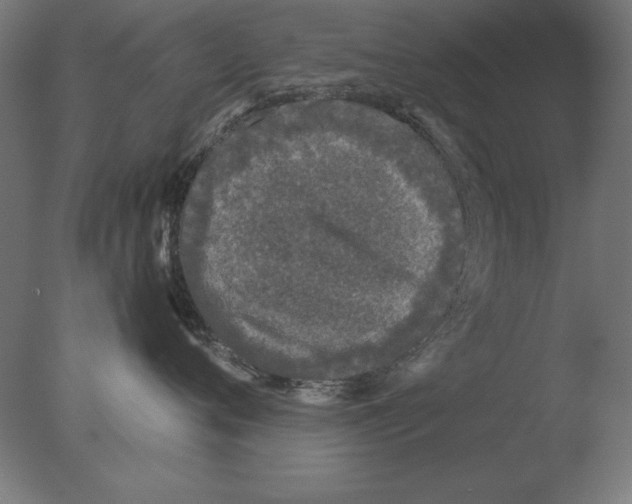 X0000076090720200610202106