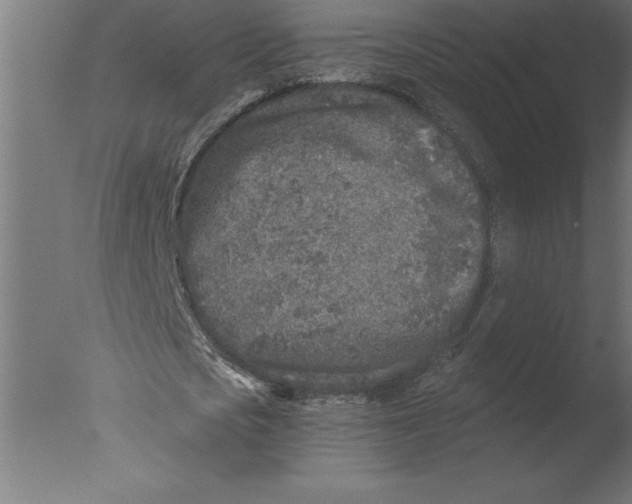 X0000076090721200610202105