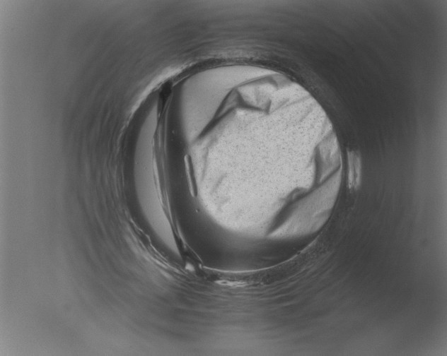 X0000076090723200610202105