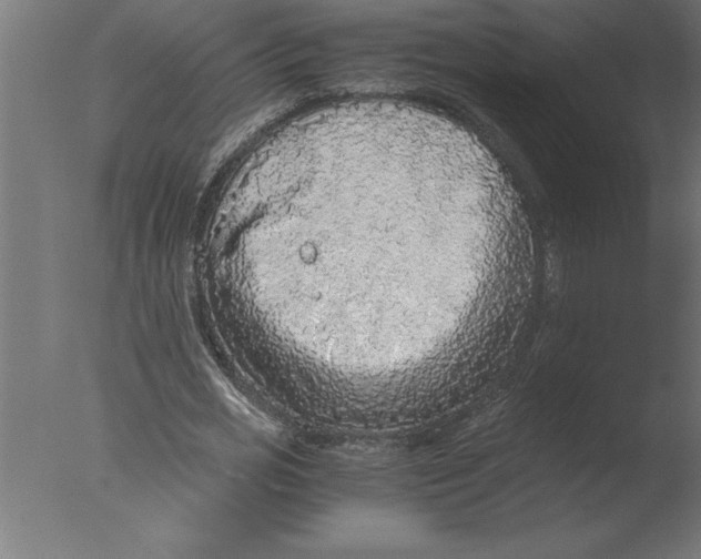 X0000076090725200610202105