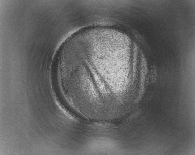 X0000076090726200610202105