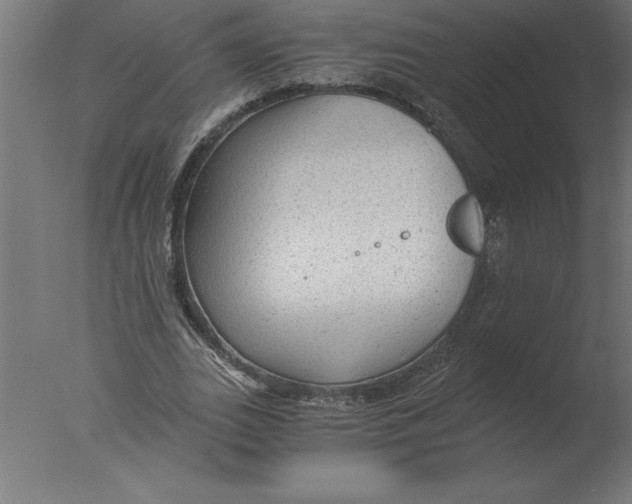 X0000076090727200610202105